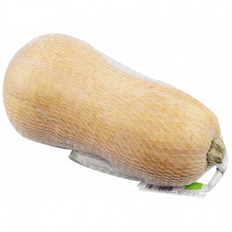 DYNIA PIŻMOWA BIO