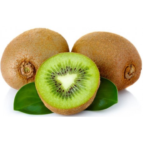 KIWI BIO