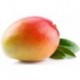 MANGO BIO SZTUKA ( ok 30 dag) - BURKINA FASO