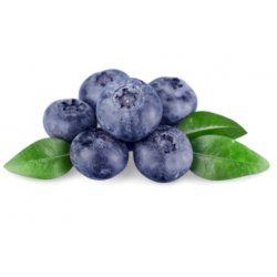 BORÓWKA AMERYKAŃSKA BIO 250G - POLSKA