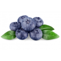 BORÓWKA AMERYKAŃSKA BIO 250G - POLSKA
