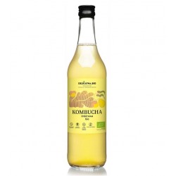 KOMBUCHA IMBIROWA BIO 500 ml - DELIKATNA (ZAKWASOWNIA)