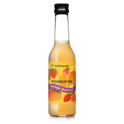 KOMBUCHA KOKTAJLOWA MANGO BELLINI BIO 270 ml - DELIKATNA (ZAKWASOWNIA)