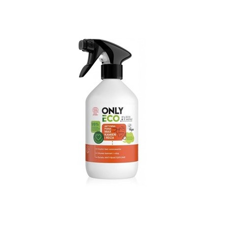 PŁYN DO CZYSZCZENIA KAMIEŃ I RDZA AKTYWNA PIANA W SPRAYU ECO 500 ml - ONLY ECO