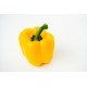 www.freepik.com, rawpixel.com