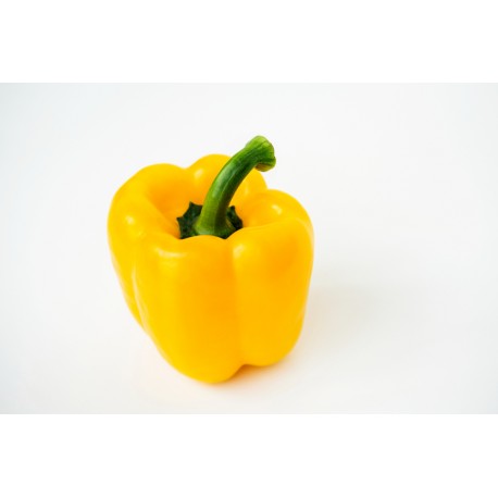 www.freepik.com, rawpixel.com