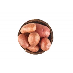 www.freepik.com, azerbaijan_stockers