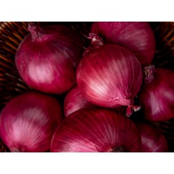 www.freepik.com, stockking