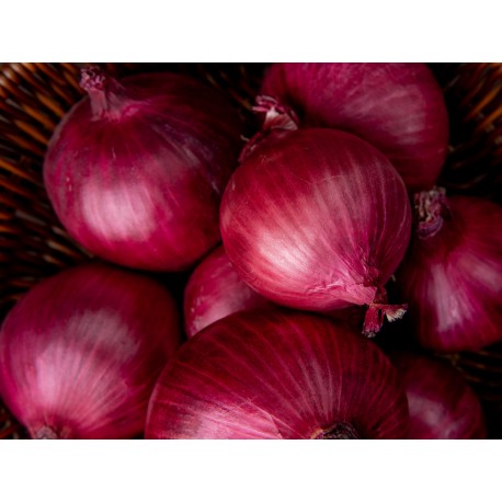 www.freepik.com, stockking