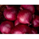 CEBULA CZERWONA BIO