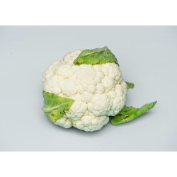 www.freepik.com, rawpixel.com