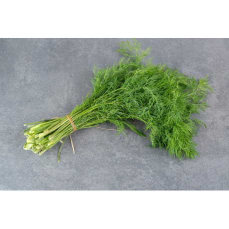 www.freepik.com, azerbaijan_stockers