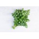 www.freepik.com, azerbaijan_stockers