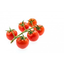 www.freepik.com, jannoon028