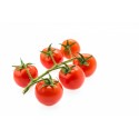 POMIDORY CHERRY ŚWIEŻE BIO (około 0,25 kg) - HISZPANIA