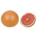 GREJPFRUT BIO