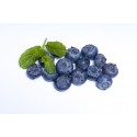BORÓWKA AMERYKAŃSKA (HISZPANIA) BIO 125 G
