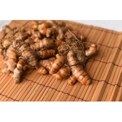 ŚWIEŻA KURKUMA BIO