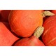 www.pixabay.com, Couleur