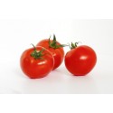 POMIDORY BIO