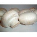 PIECZARKI BIAŁE ŚWIEŻE BIO (POLSKA) (około 0,25 kg)