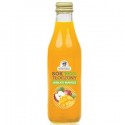 SOK JABŁKOWY Z MANGO NFC 250 ml - REMBOWSCY