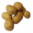 ZIEMNIAKI MŁODE BIO