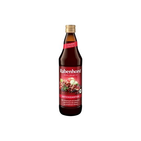 SOK WIELOOWOCOWY NFC ANTYOKSYDANT BIO 750 ml - RABENHORST