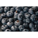 BORÓWKA AMERYKAŃSKA BIO 125G - POLSKA